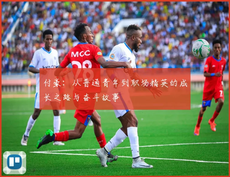 付豪：从普通青年到职场精英的成长之路与奋斗故事