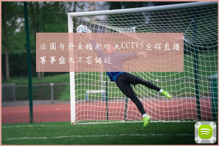 法国与丹麦精彩对决CCTV5全程直播赛事盛况不容错过
