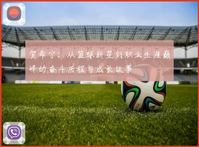 贺希宁：从篮球新星到职业生涯巅峰的奋斗历程与成长故事
