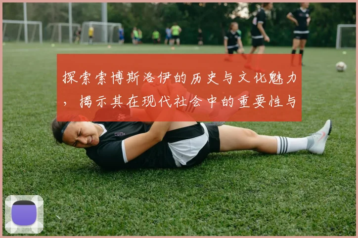探索索博斯洛伊的历史与文化魅力，揭示其在现代社会中的重要性与影响力