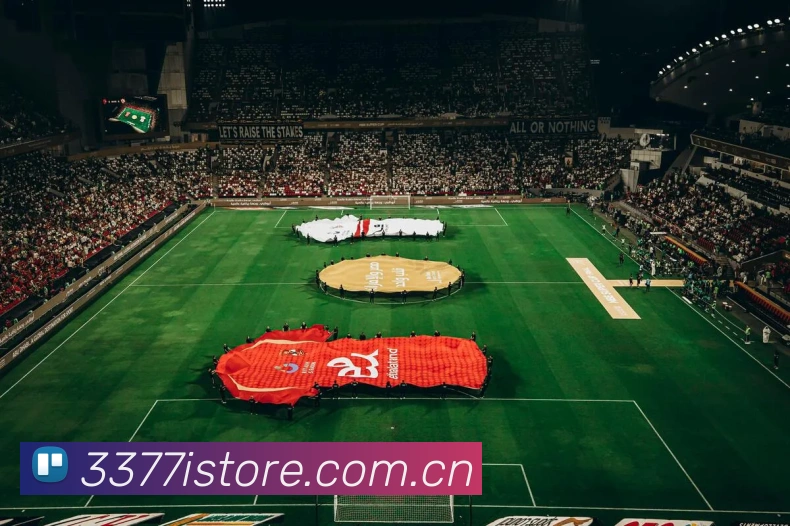 3377体育平台生态图